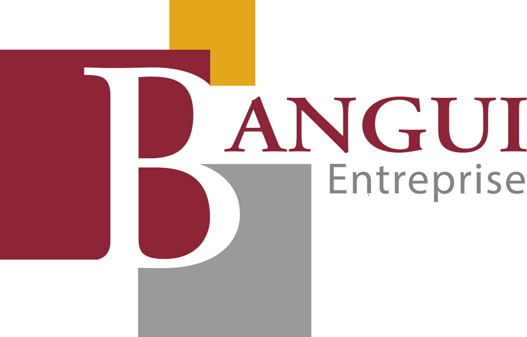 Bangui entreprise